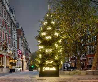 The Connaught christmas tree in 2022 designed by Suzy Murphy